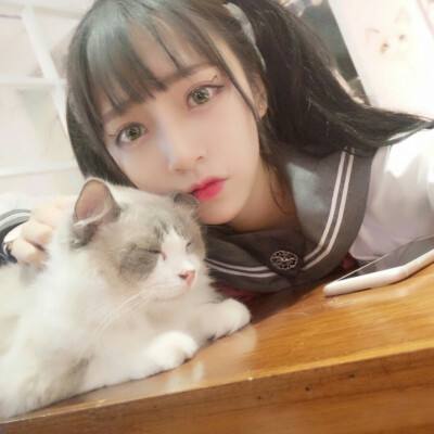猫猫警长手游下载